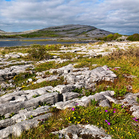 The Burren